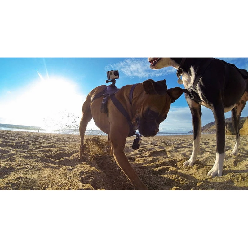 Лидер продаж аксессуары для Gopro ошейник собак нагрудный ремень крепление на Xiaomi Yi