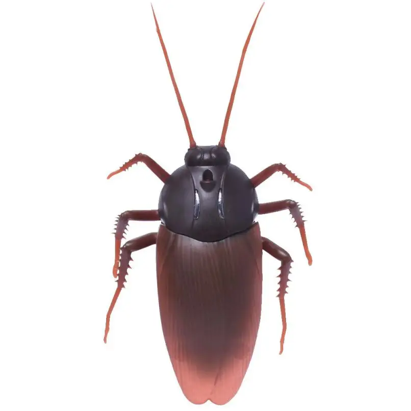 Cucaracha broma моделирование животных тараканов cucaracha para bromas инфракрасный пульт