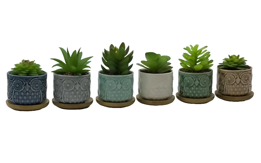 6 PCS Set Cute Cartoon Animal Owl Shaped Ceramic Succulent Cactus Flower Plant Pots with Bamboo Tray for Home Garden Decoration | Дом и сад