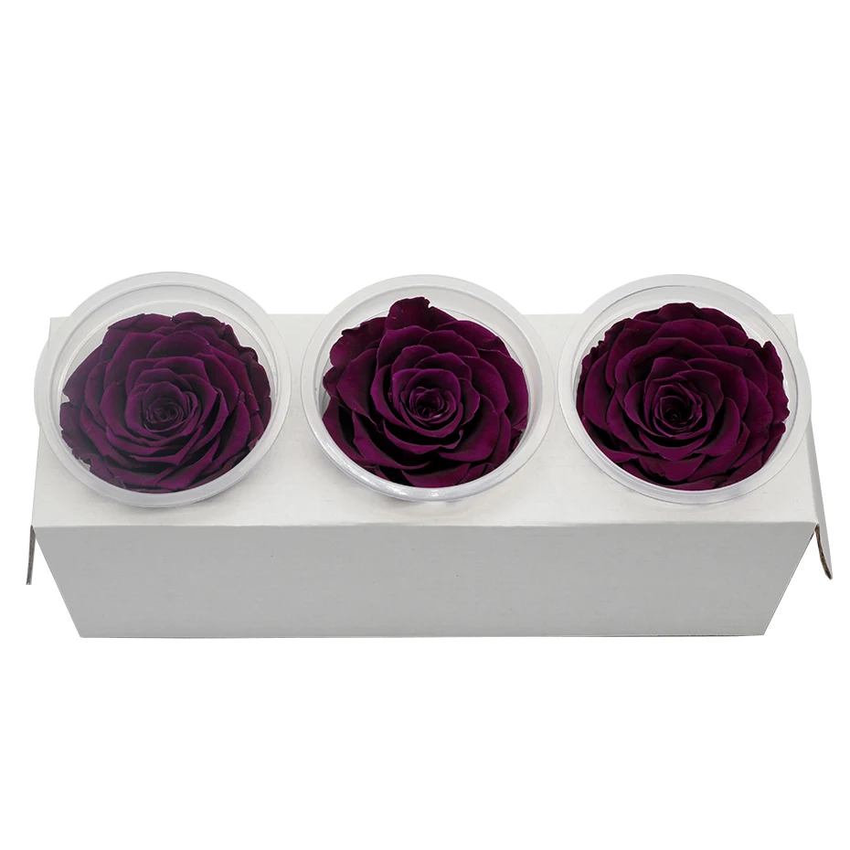 1 коробка Eternal Flores консерванты натуральные сухоцветы консервированные цветы бесморская Роза 8 см подарок на день Святого Валентина день рождения
