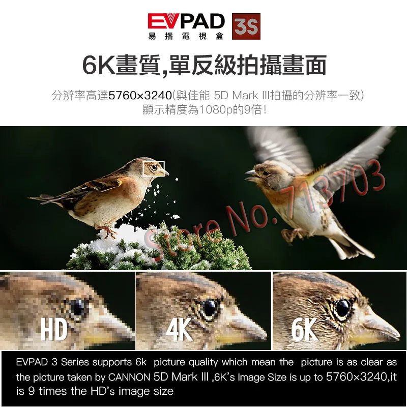 Новинка IP tv EVPAD 3S 8GB 4K Smart Android tv Box Испания Корейский Японский Сингапур Гонконг Малайзия Тайвань индонезийский ТВ канал