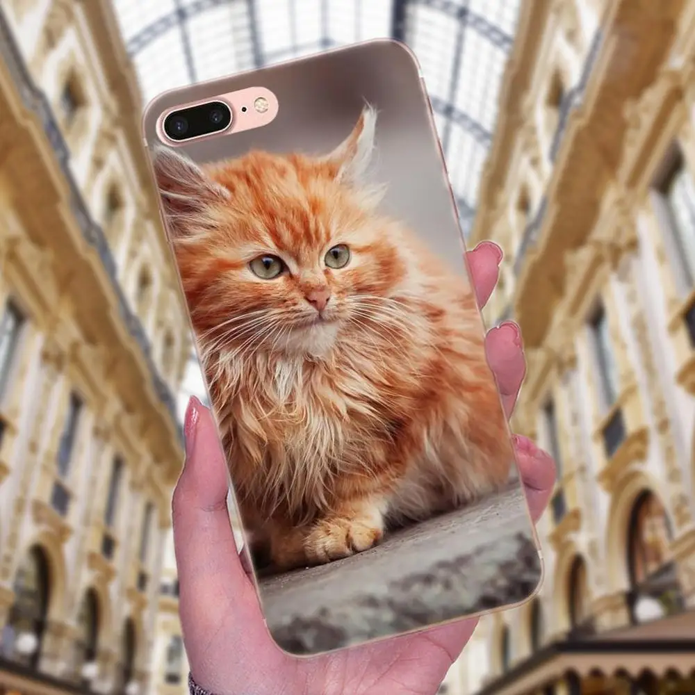 Чехол из ТПУ для Apple iPhone X XS Max XR 4 4S 5 5C 5S SE 6 6S 7 8 Plus | Мобильные телефоны и аксессуары