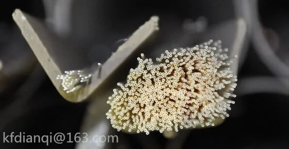 Крошечный диаметр/высокая глинозема Керамика/99.3% тонкий капиллярный