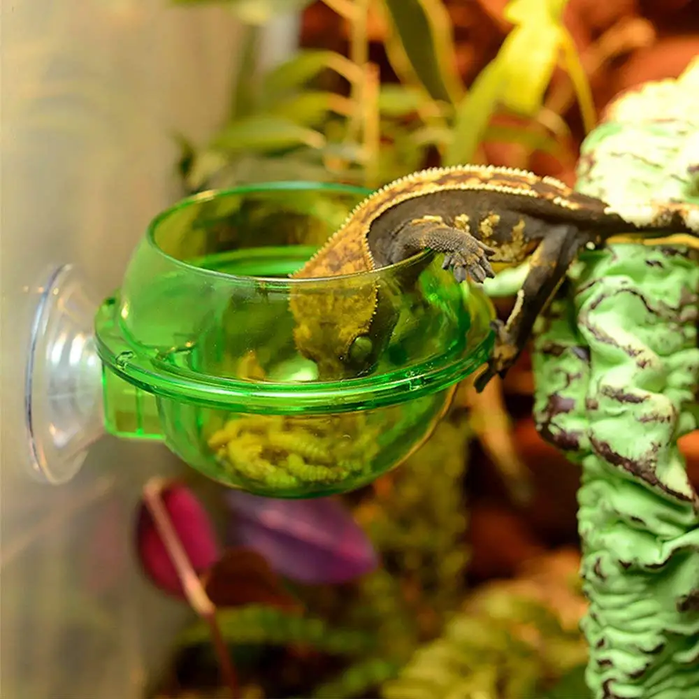 Всасывающая кормушка чашка EONMIR аксессуары для рептилий Gecko хамелеон|Корма питьё
