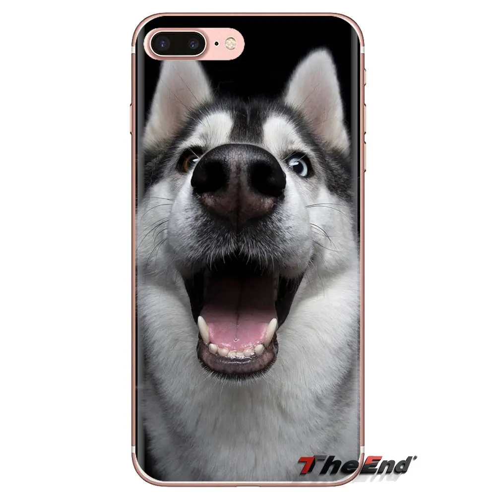 Для iPod Touch Apple iPhone 4 4S 5 5S SE 5C 6 6S 7 8 X XR XS Plus MAX прозрачные мягкие чехлы Doge интернет
