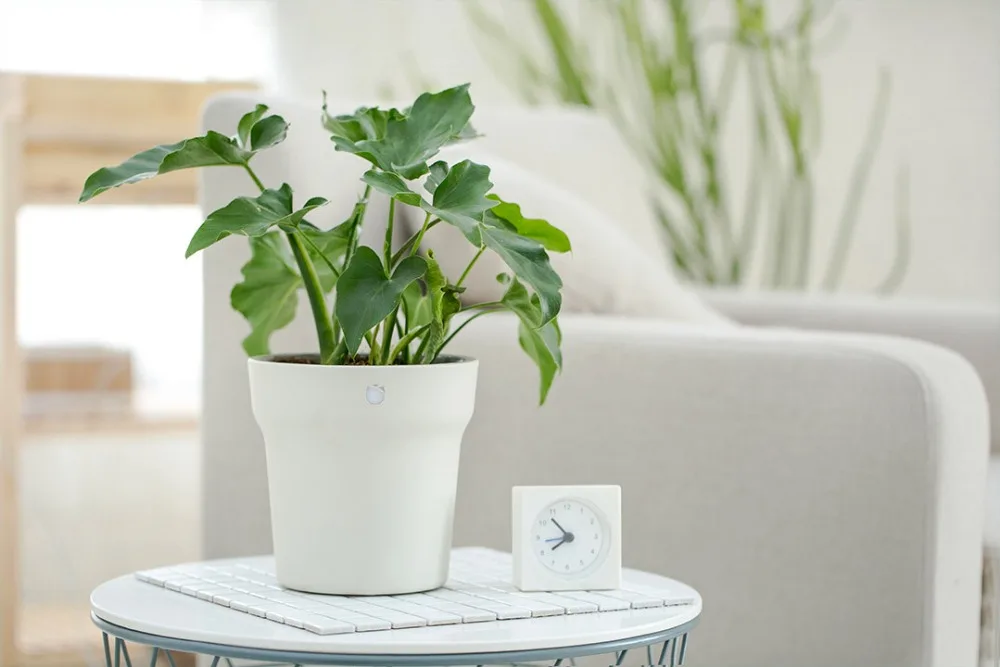Xiaomi оригинальный Mi Flora умный цветочный горшок международная версия
