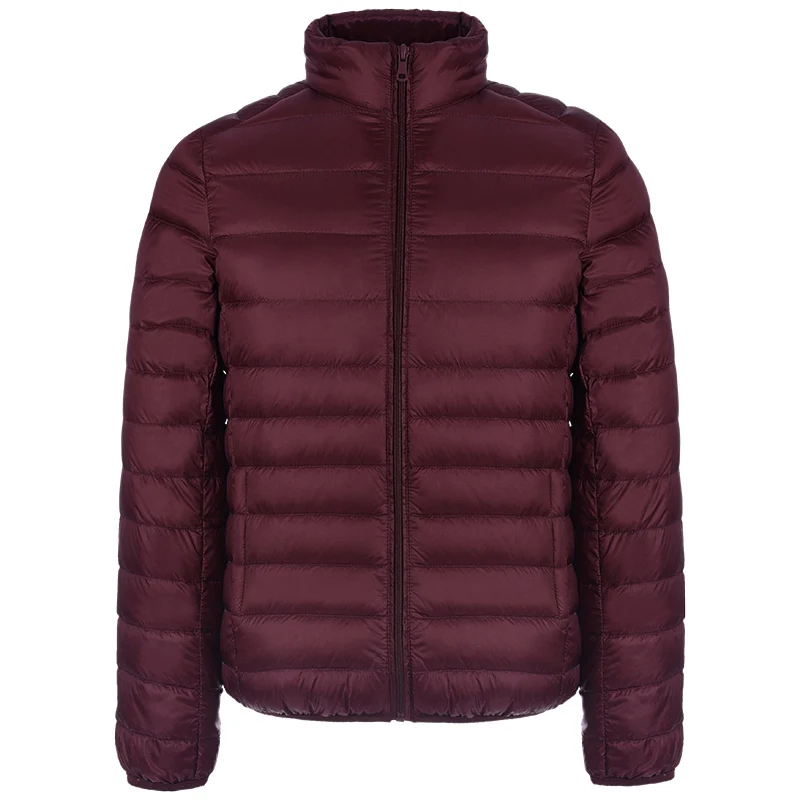 2018 Новое поступление зимний стиль мужской бутик тонкий пуховик модная