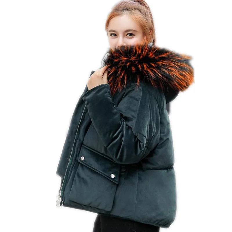 

Long Sleeve Winter Women Jackets 2018 New Fashion Down Cotton Jacket Women Short Parka Loose Winter Jacket Pleuche Parkas Q874