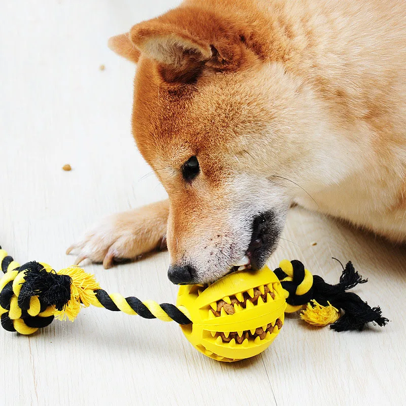 Товары для собак интимные аксессуары игрушки домашних животных натуральный