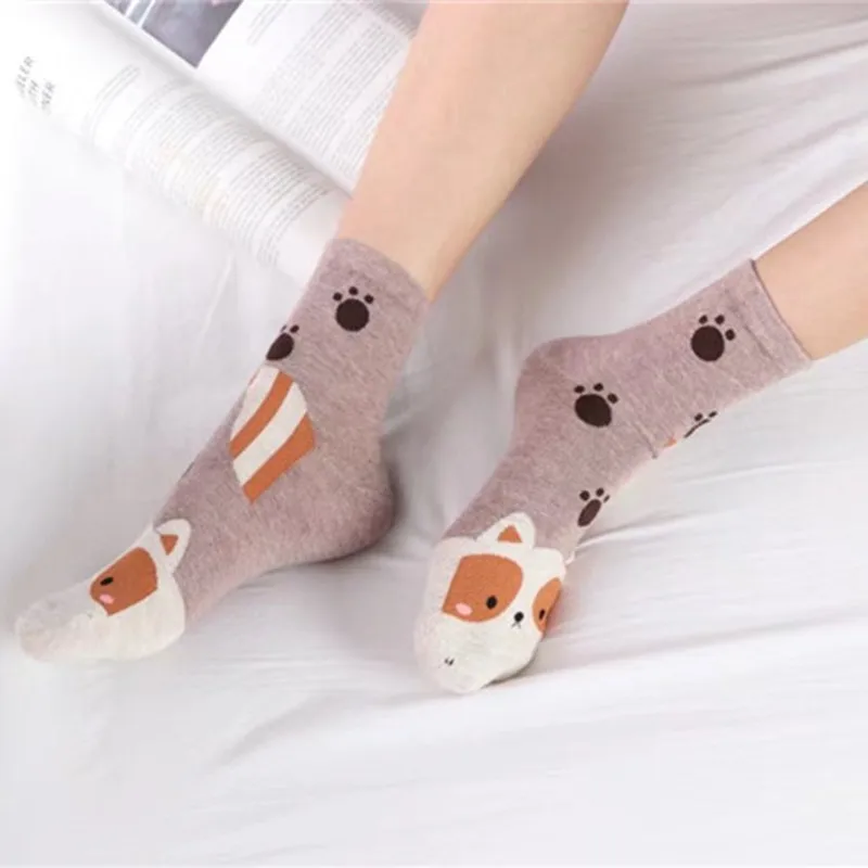 2019 милые женские хлопковые носки с животными Kawaii Носки рисунком собаки корейские