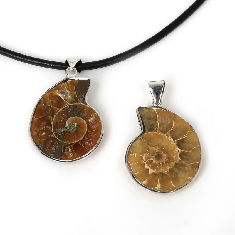 1 шт./лот медная подвеска в виде ракушек из натурального аммонита для