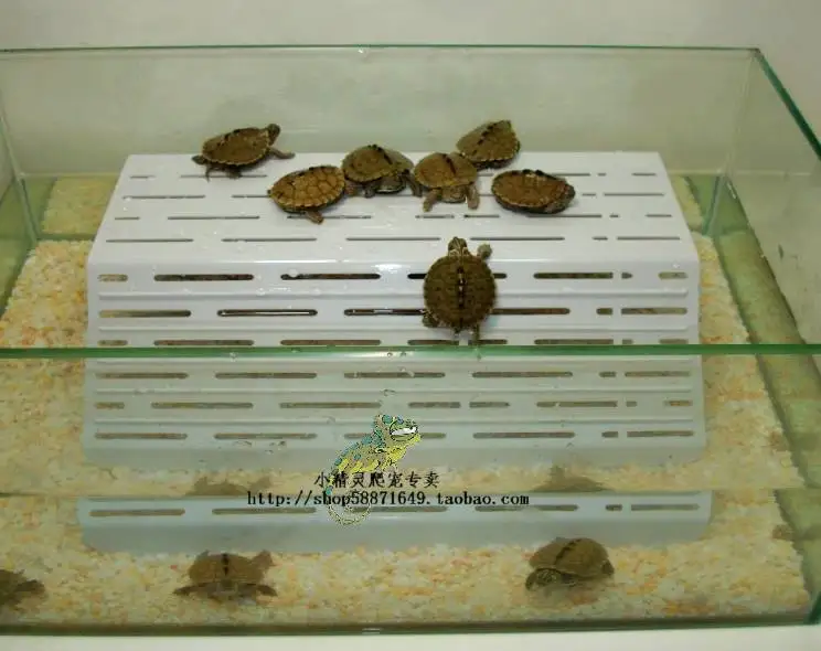 28 см прозрачный акриловый терраса рептилии Террариум черепаха плавучий опорная