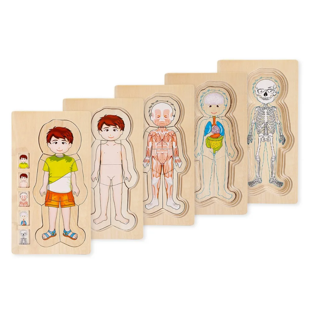 Головоломки для детей высокого качества раннего образования детские многослойные пазлы деревянные игрушки для малышей.