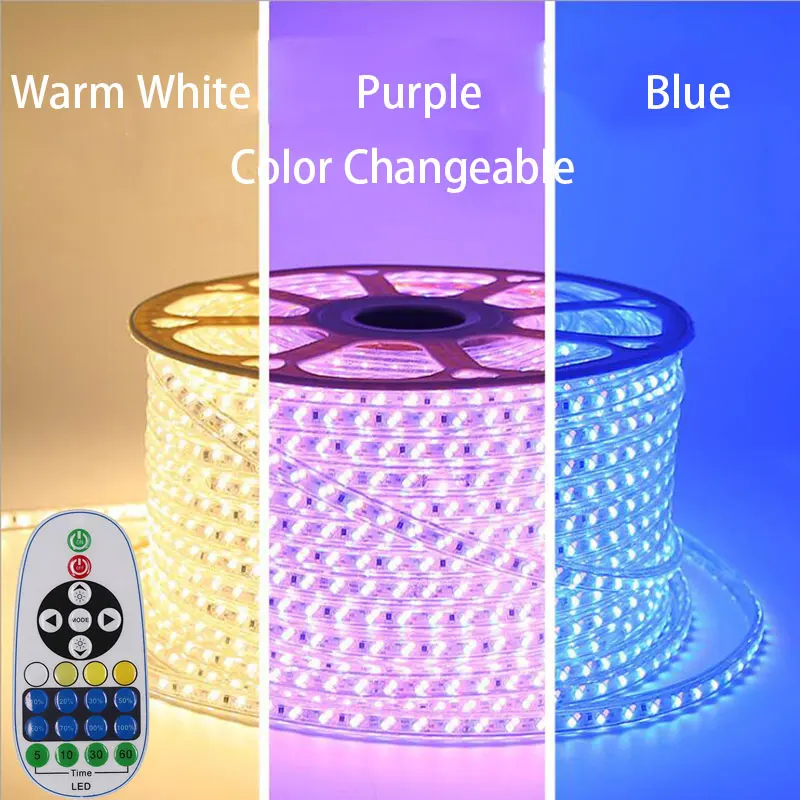 1-10M 5730 LED Strip Light  WW+Blue 220V IP67 Waterproof LED Tape Dual Color Changeable Dimmable LED Strip for Home Decor