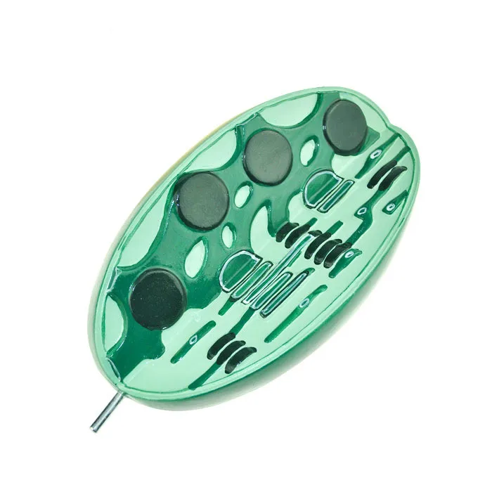Структурная модель Chloroplast мезофильные клетки микроструктура научный и
