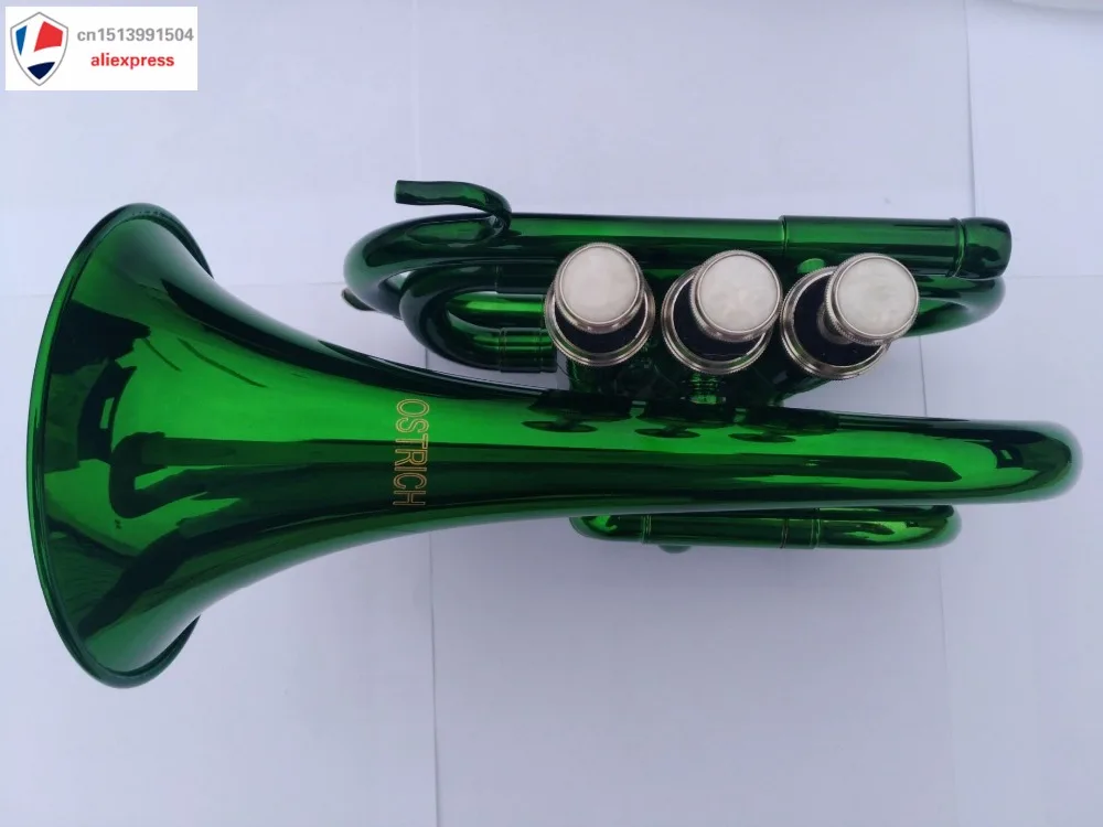 Частный и пользовательский зеленый карман труба с Чехол + насадка Клапан масло