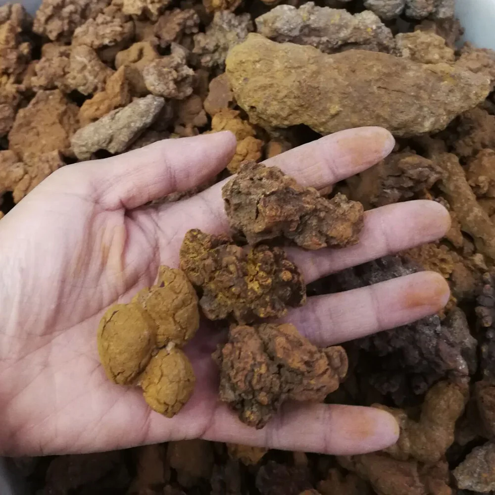 Натуральные динозавры говно модели из минерального камня LXM