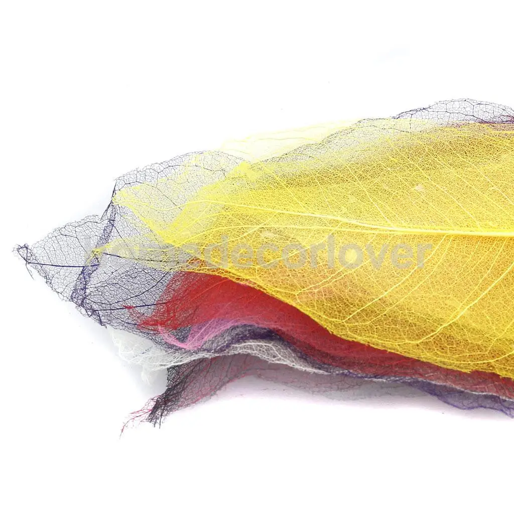 150 шт. натуральная Магнолия каркас листьев Скрапбукинг смешанные цвета Декор