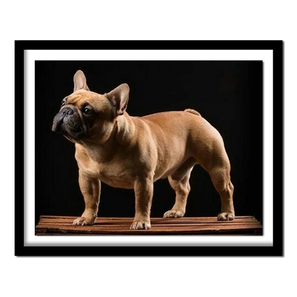 Фото Полный алмазная вышивка 5D картина французская собака породы бульдог крестиком 3D(Aliexpress на русском)