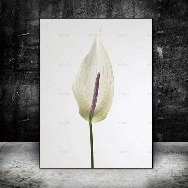 Картина на холсте Настенная картина Постер в скандинавском стиле цветок