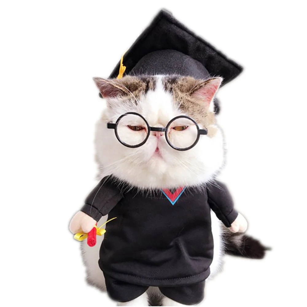 Забавный костюм PhD Cat для собак одежда на Хэллоуин Рождество косплея кошки| |
