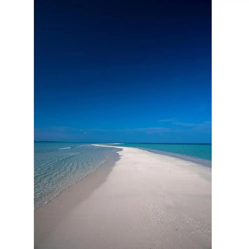 Пляжные Виниловый фон для фотосъемки с изображением свадебной съемки