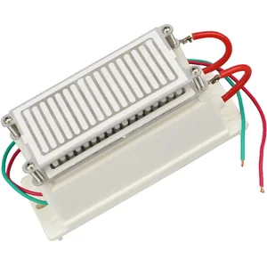 Озонатор из нержавеющей стали, 220 В, 20 г, влагостойкий