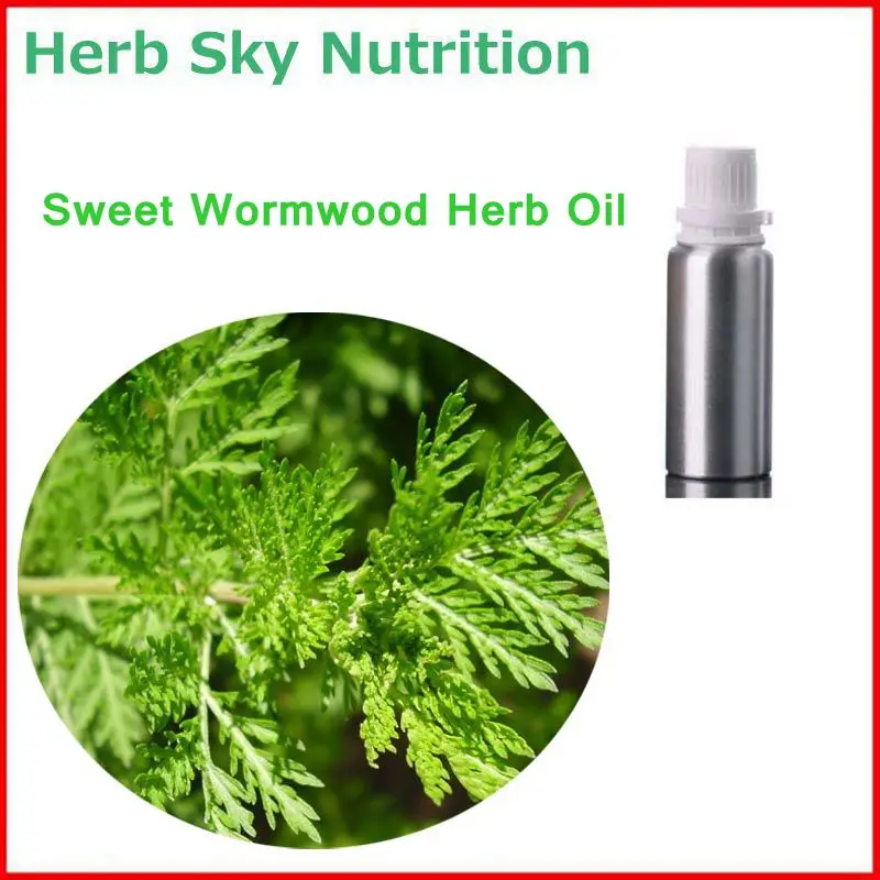 100% натуральный и чистый сладкий полынь травы/Артемизия apiacea - Цена: 2 328,11 руб.