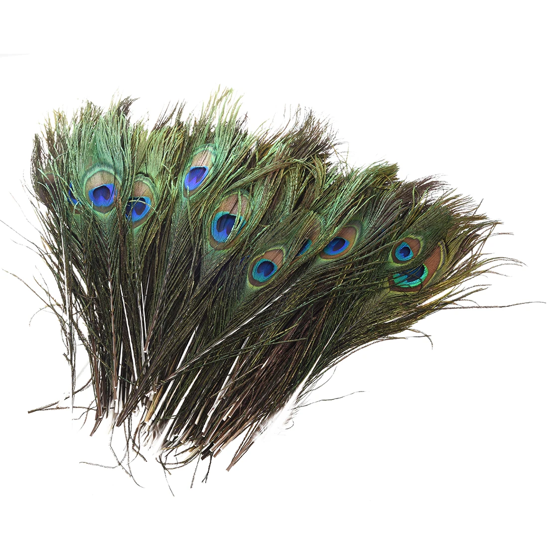 100 шт перьев павлина 10 &quot 12&quot|peacock feathers|feather feather100 feathers |