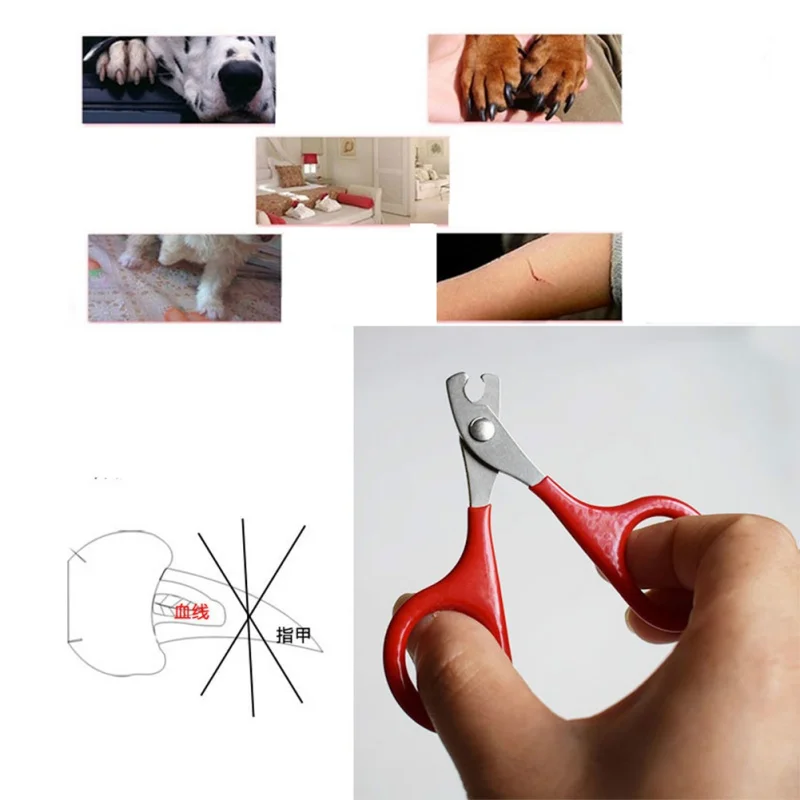 Durable Pet Nail Clipper Dog Cat Stainless Steel Easy Use Cutter Puppy Kitten Claw Care Supplies Tool For Small Animal Puppy|Кусачки для