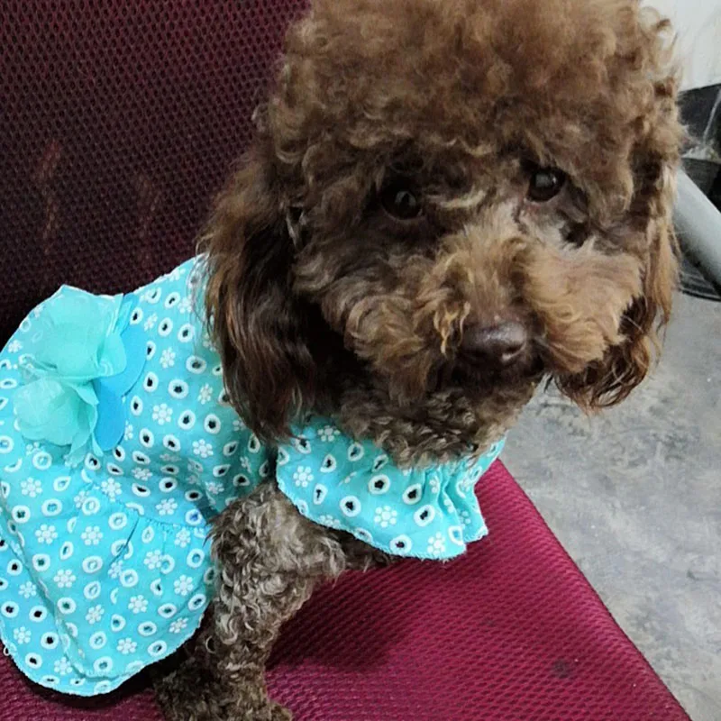 2019 Summer Small Dog Dress Comfortable Thin Pet Cat Puppy Floral Princess Chihuahua Clothes Cotton Skirt XS S M L XL | Дом и сад