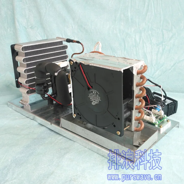 Фотоэлементы PURSWAVE ST19A включая миниатюрный компрессор постоянного тока 12 В 24 48