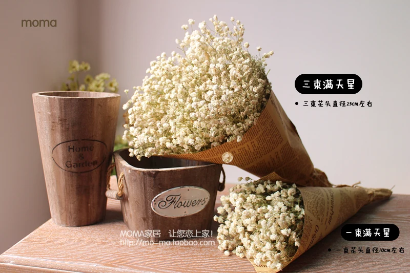 Звездные настоящие цветы сушенные для хранения продуктов окно дисплея свадьбы