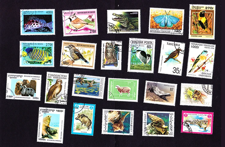 Новинка 20 шт./лот штампы с изображением рыбной птицы млекопитающих животных все