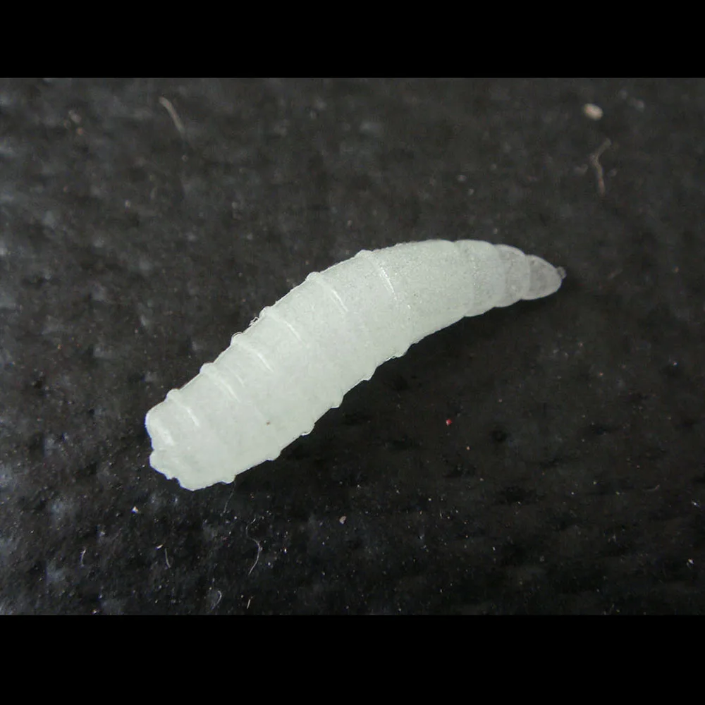 50 шт./лот настоящие искусственные рыболовные приманки с ночным свечением снасть 1