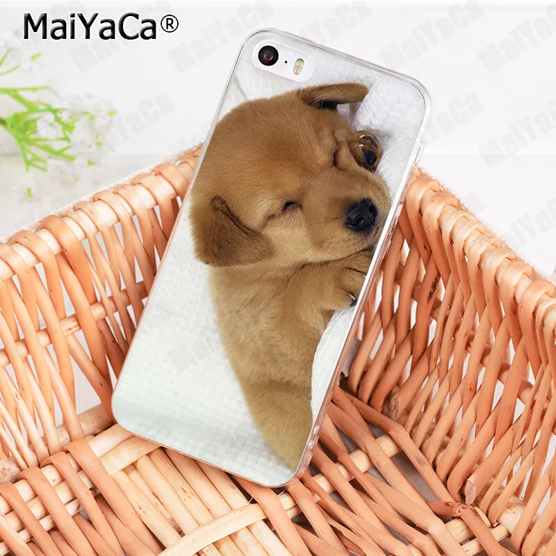 Чехол для iphone 12 11 Pro 8 7 6 6S Plus X 10 5 5S SE XS XR XSMAX|Бамперы| |