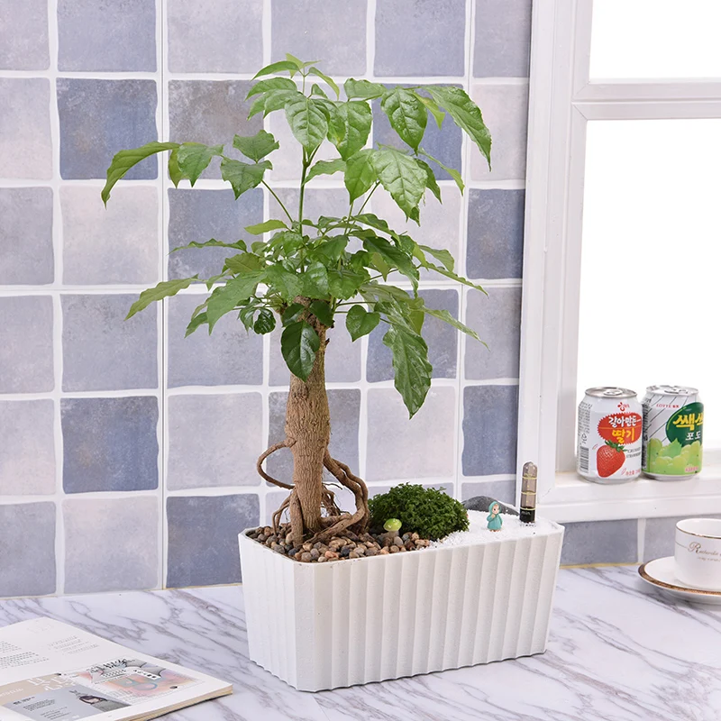 Интерьер пластиковый прямоугольный цветочный горшок креативный ленивый человек