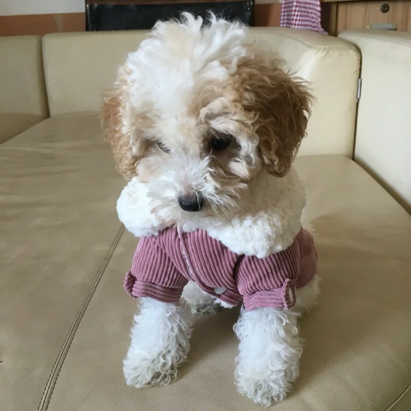 Куртка для собак теплое пальто зимняя одежда верхняя костюм чихуахуа кошки щенка