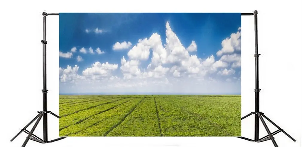 Фон для фотосъемки зеленое поле с голубым небом белым облаком природный