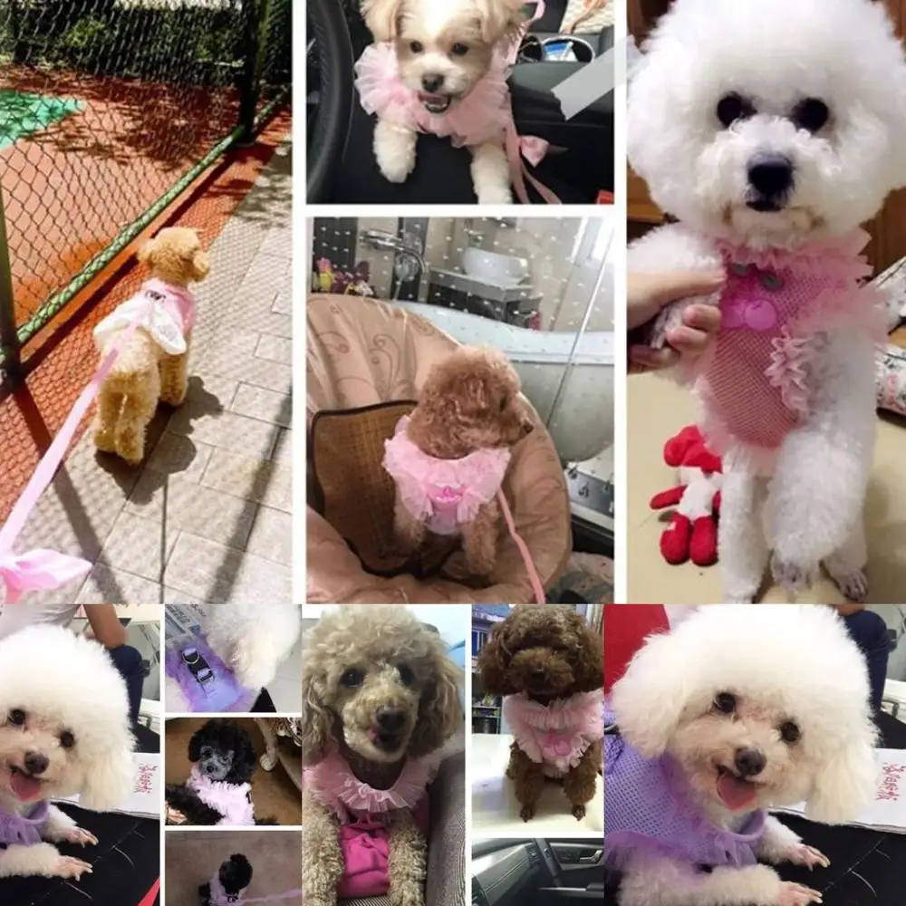 Розовая фиолетовая кружевная вишневая поводок для собак набор дышащая маленьких