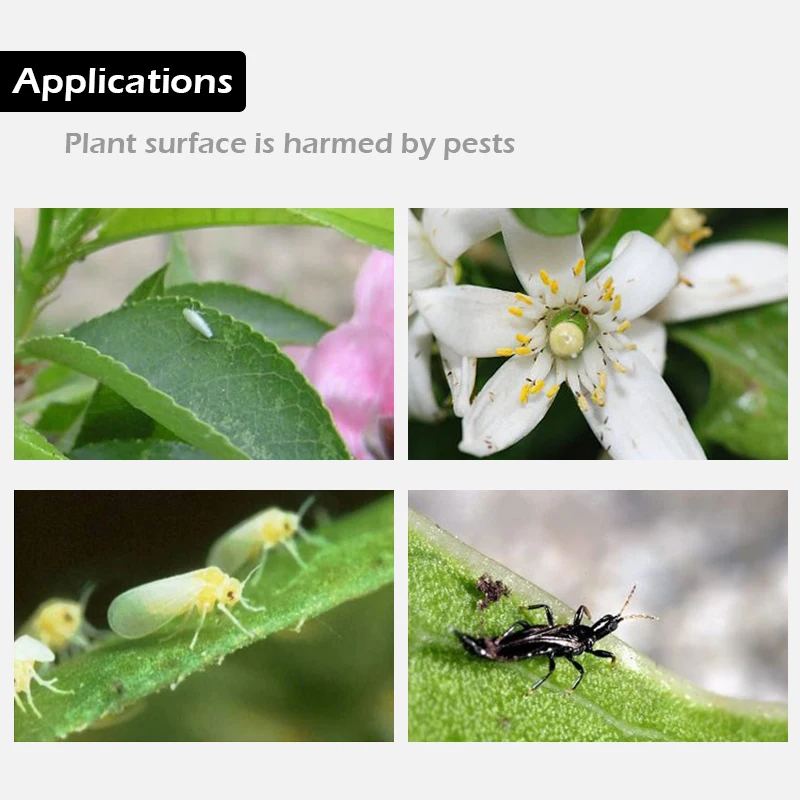 Растительный инсектицид семейный цветок Aphid растительный бункер весы насекомое подпитывается борьба с вредителями спрей Тип Листва и земли под вредителями убийца