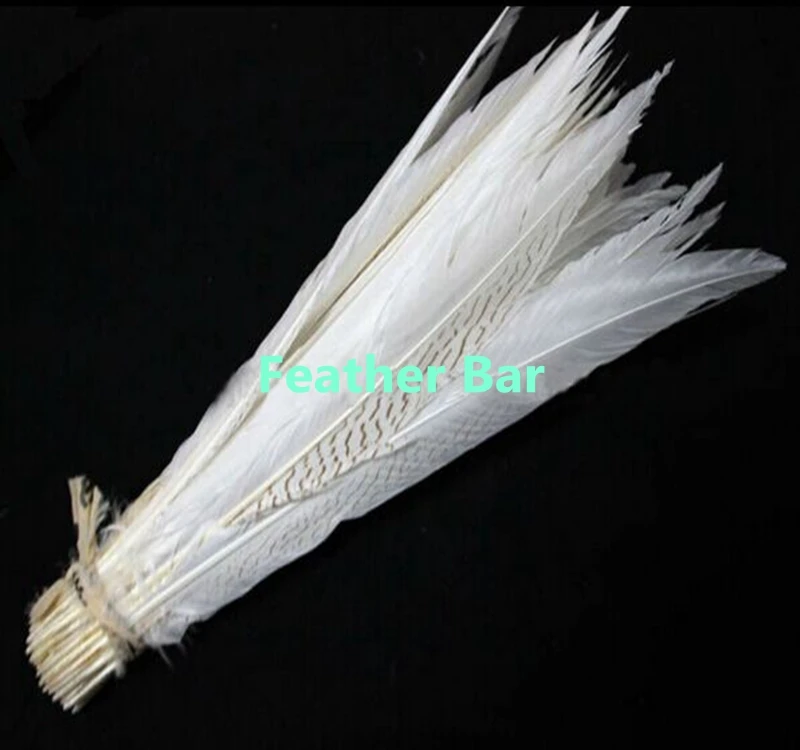 Бесплатная доставка 50 шт./лот белый цвет леди амгерст фазан серебряные перья 60 65