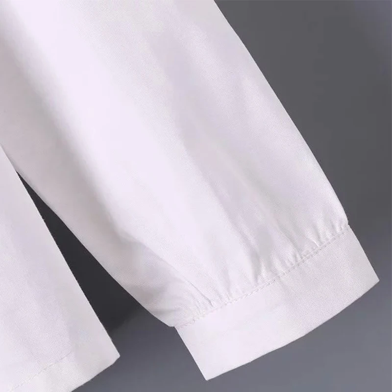 Старинные вышивки женщин с длинным рукавом 2016 весной стиль офис женщины белая