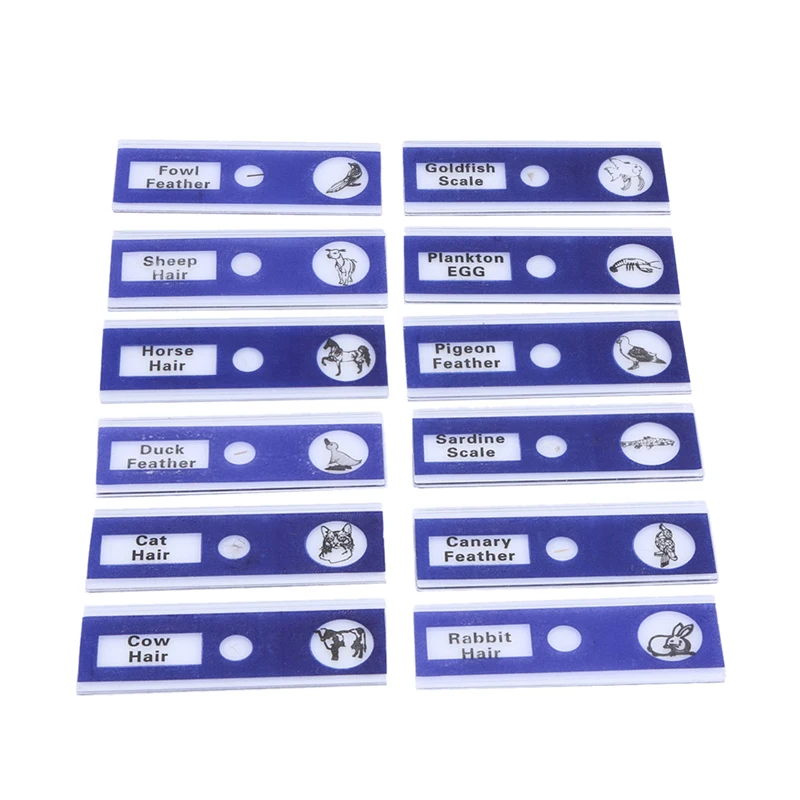 12 шт./компл. животные насекомые цветы растения образец дети студент Обучающие