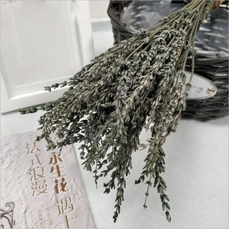 Green MiHuaGe Лаванда вечный цветок DIY ручной работы Цветы кафе клуб гостиная украшение дома Лаванда вечный сушеный цветок - Цвет: Green