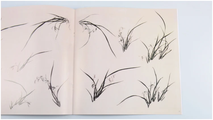 Коллекция орхидеи для рисования свободная ручная живопись техника цветов книга