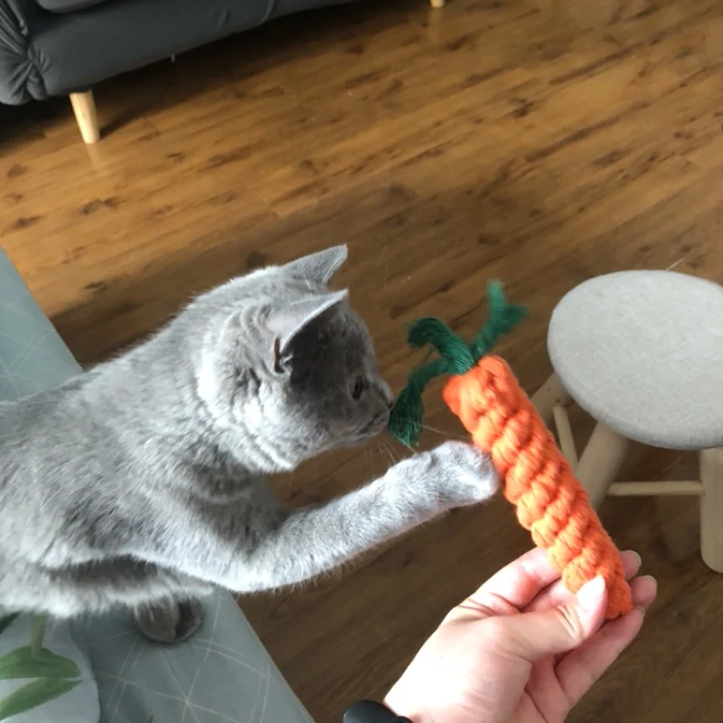 Игрушки для домашних животных собак моляр в форме моркови Аксессуары кошек