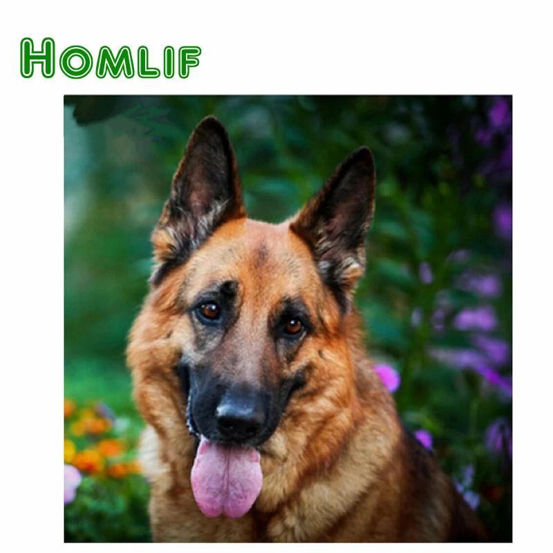Homlif DIY Вышивка с кристаллами смолы камень вставлен собака живопись площадь дрель
