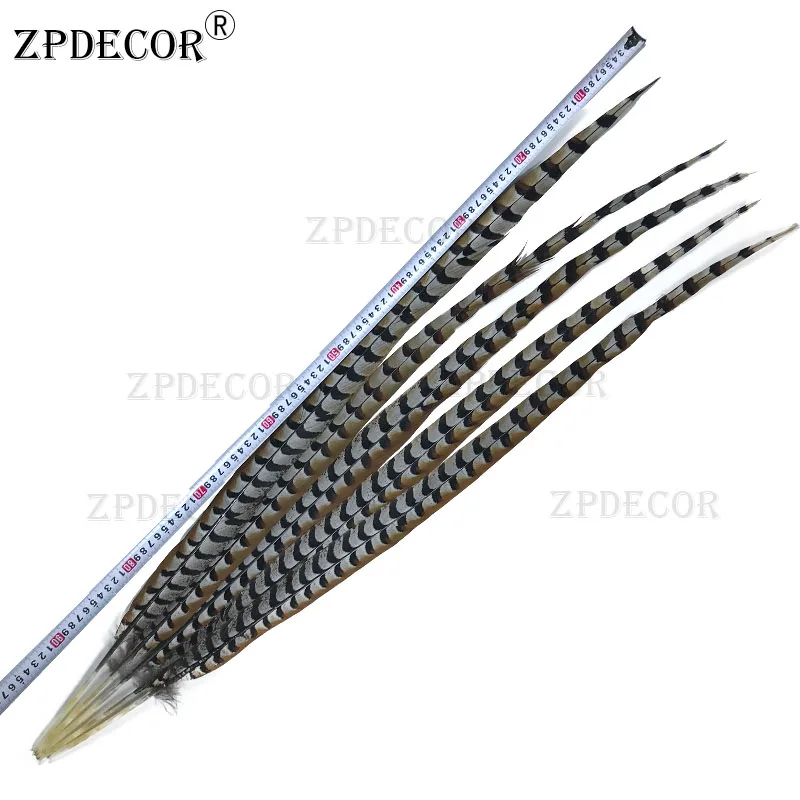 ZPDECOR 90-100 см 36-40 дюймов Ривз Фазан Перья | Дом и сад