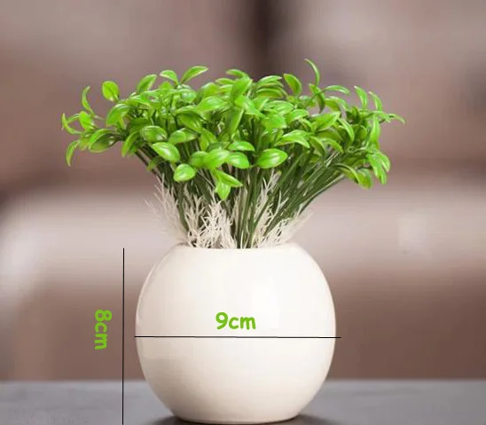 

Meaty plant flowers vase Ceramic round vase